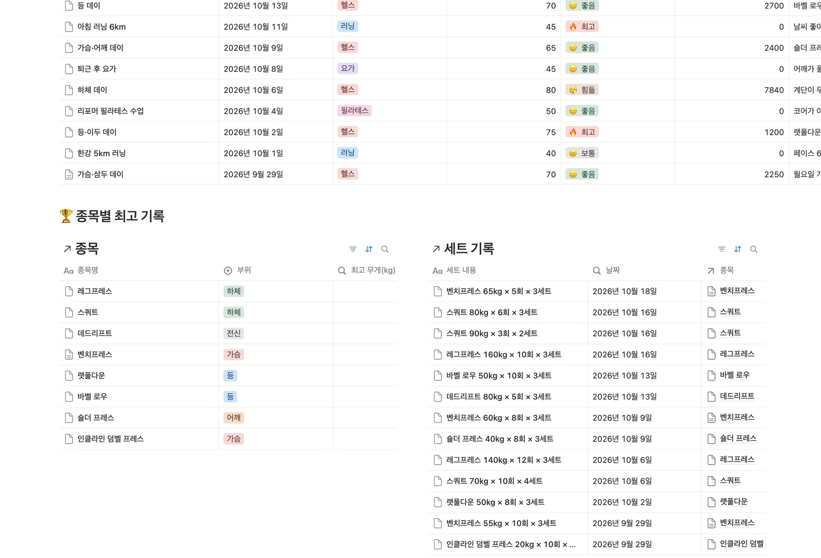 오운완 운동 기록 템플릿 노션 화면 3